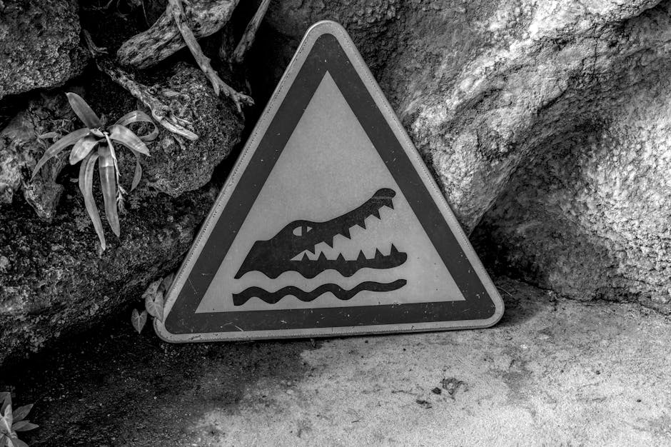 Représentation schématique des mécanismes neurologiques de l'algie vasculaire de la face