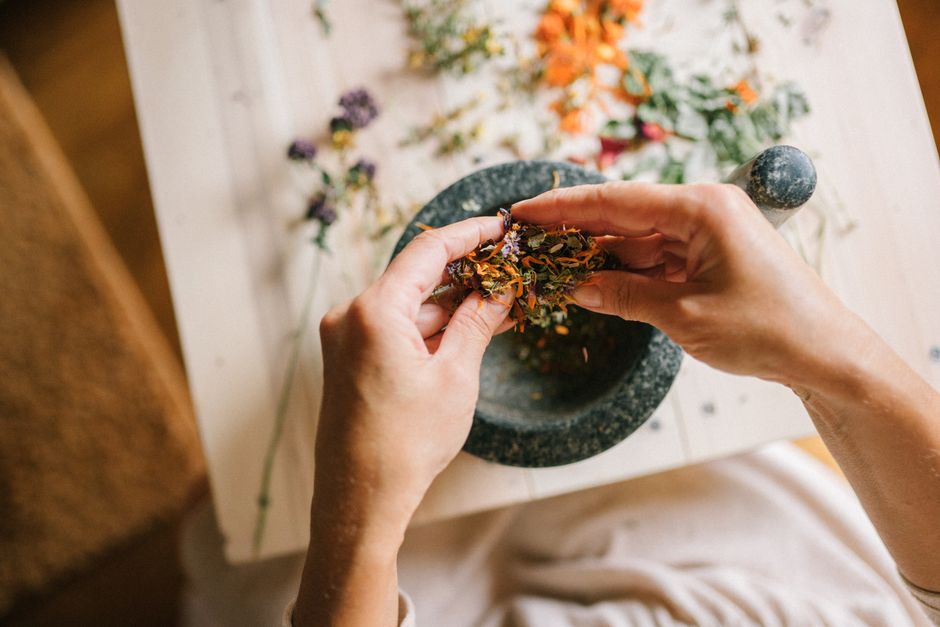 Rosier atteint par une maladie fongique avec des taches sur les feuilles